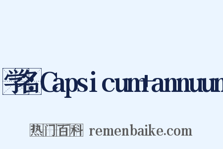 学名：Capsicum+annuum是什么意思的图片